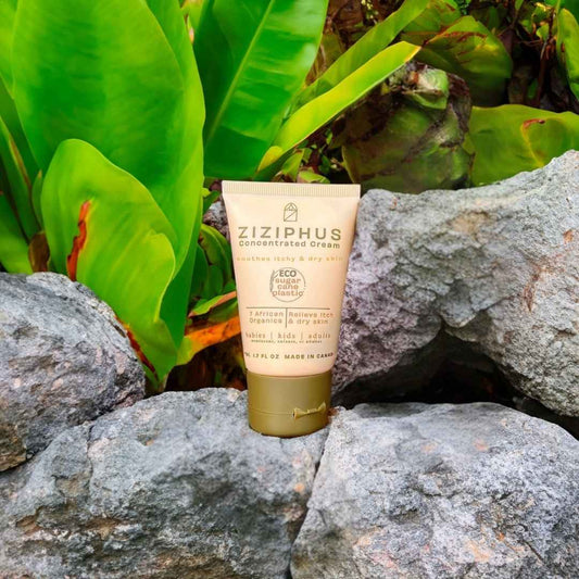 Ziziphus Concentrated Cream