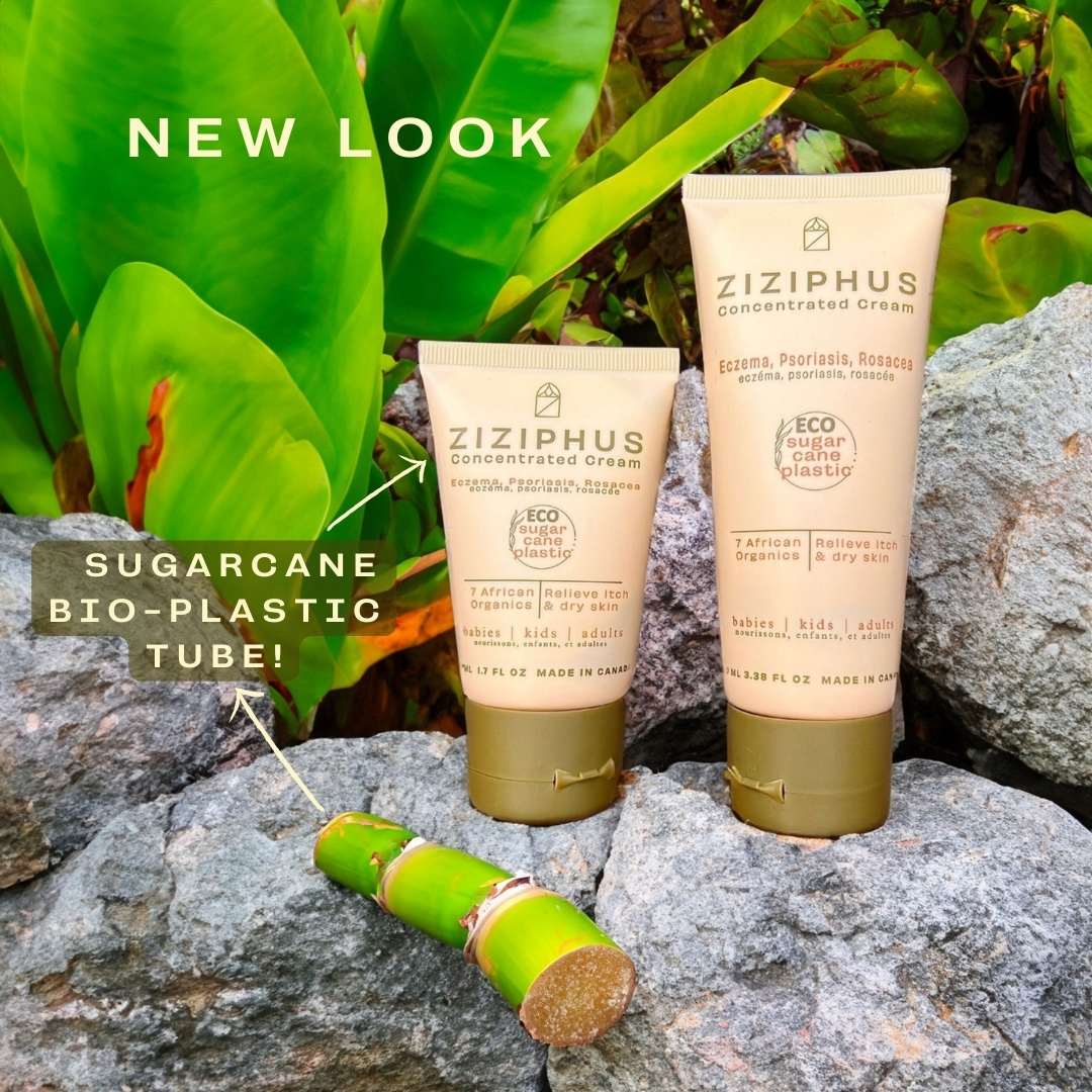 Ziziphus Concentrated Cream – Ziziphus Skin