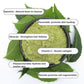 Multi-Use Sidr Whole Plant Remedy image 1