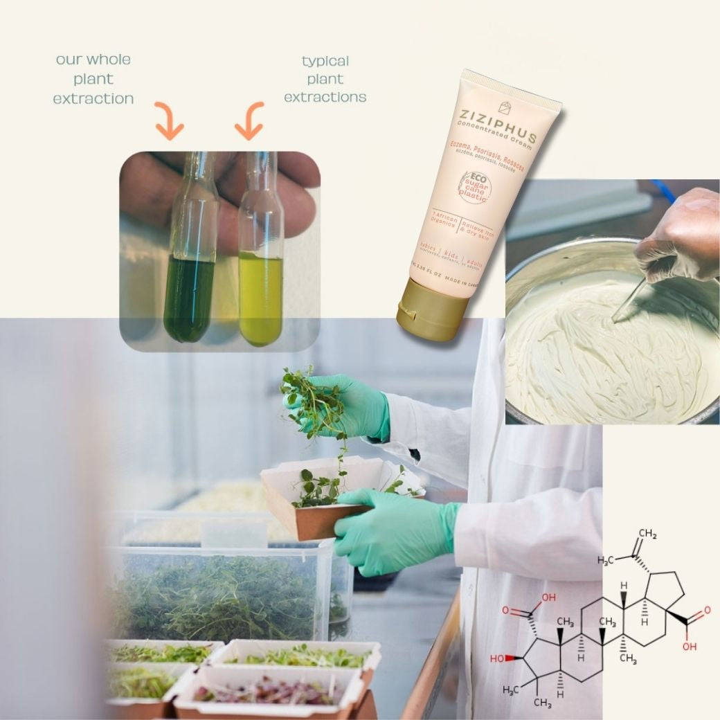 Dynamic Duo – Ziziphus Skin
