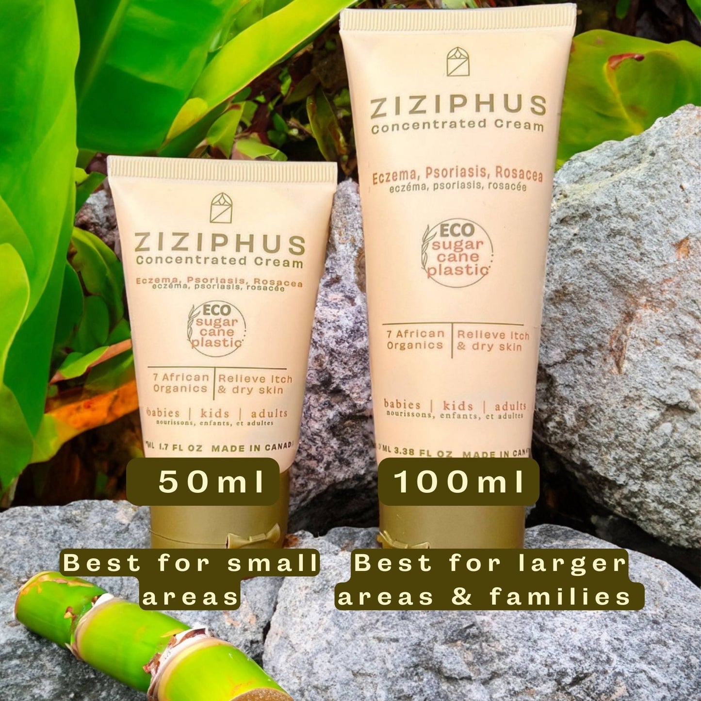Ziziphus Concentrated Cream image 2