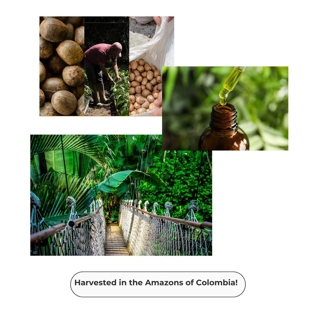 Cacay Scar Serum image 2