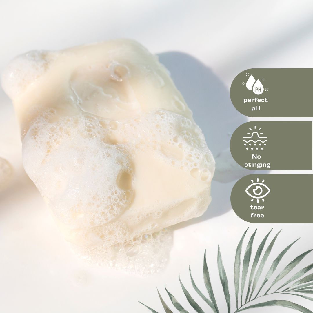 Vegan Solid Face & Body Wash (2 pack) image 1